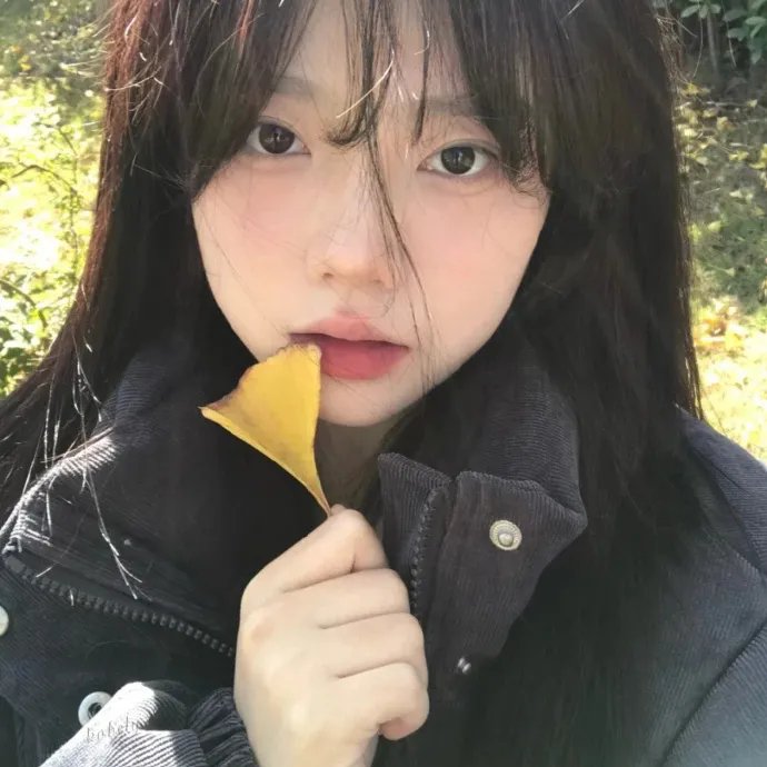 竹影远行物语1825