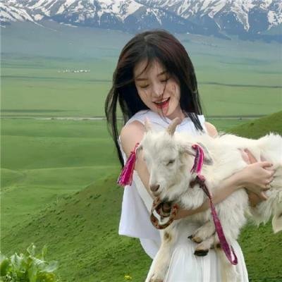 月光火种同盟